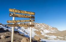 Barafu Camp (4600m) - Uhuru Peak (5895m) - Mweka Camp (3100m)